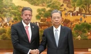 巴西世界杯预选赛2023 巴西世界杯预选赛2023